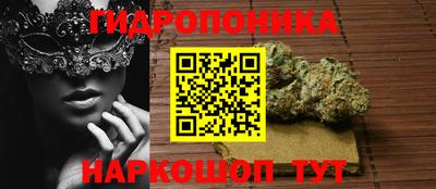 spice Владивосток