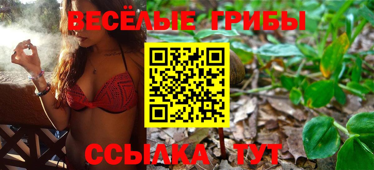 Домодедово  Галлюциногенные грибы мухоморы  Вход с VPN 